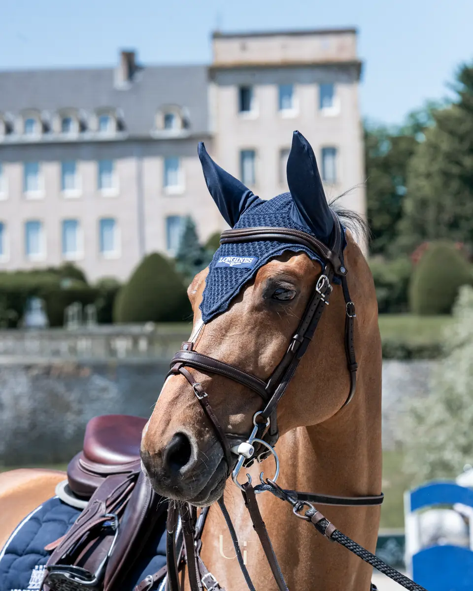Bryan Balsiger beside his grey show jumper, the winner's rug over its shoulders