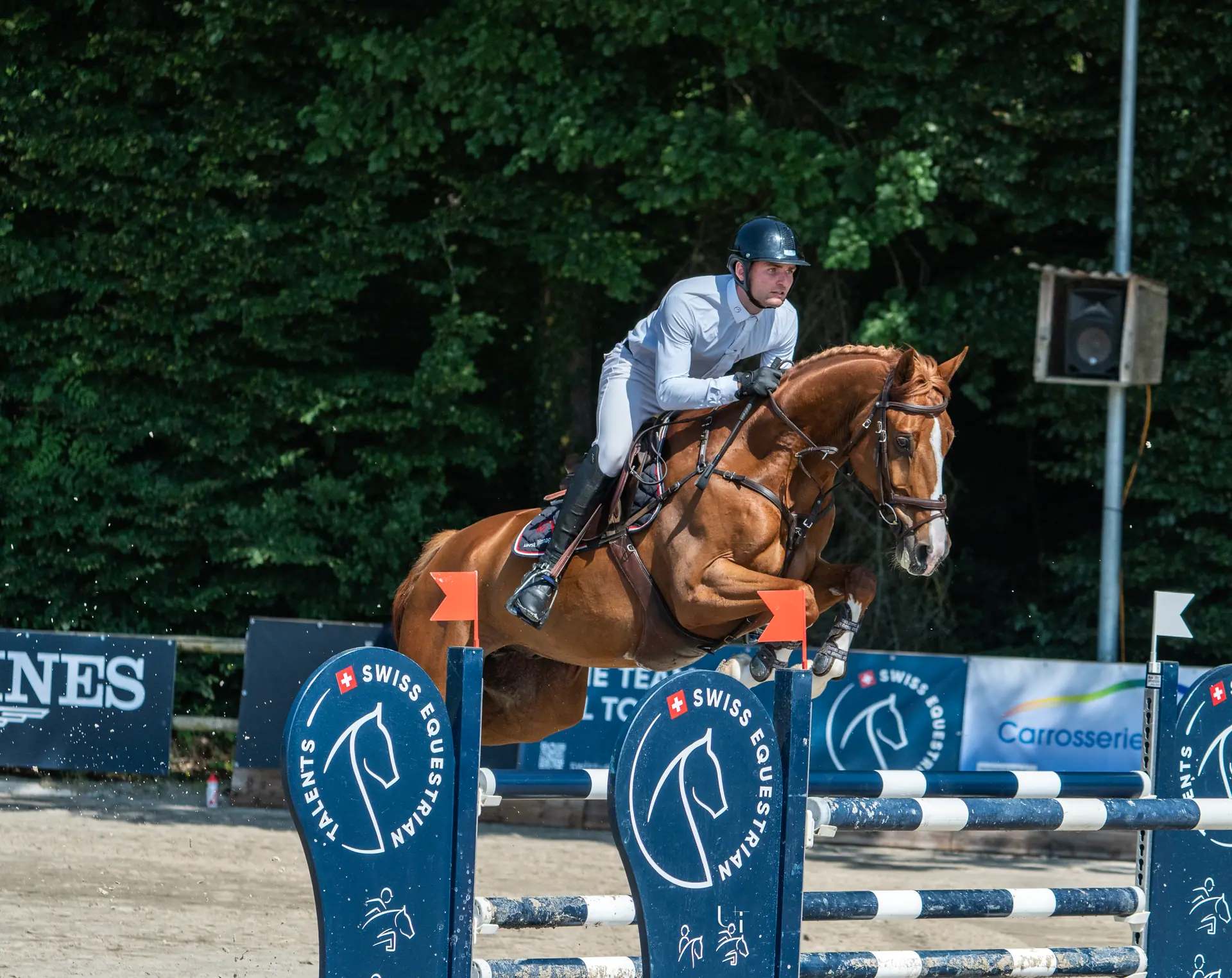 Bryan Balsiger and a chestnut show jumper entering the ring at a Longines Grand Prix