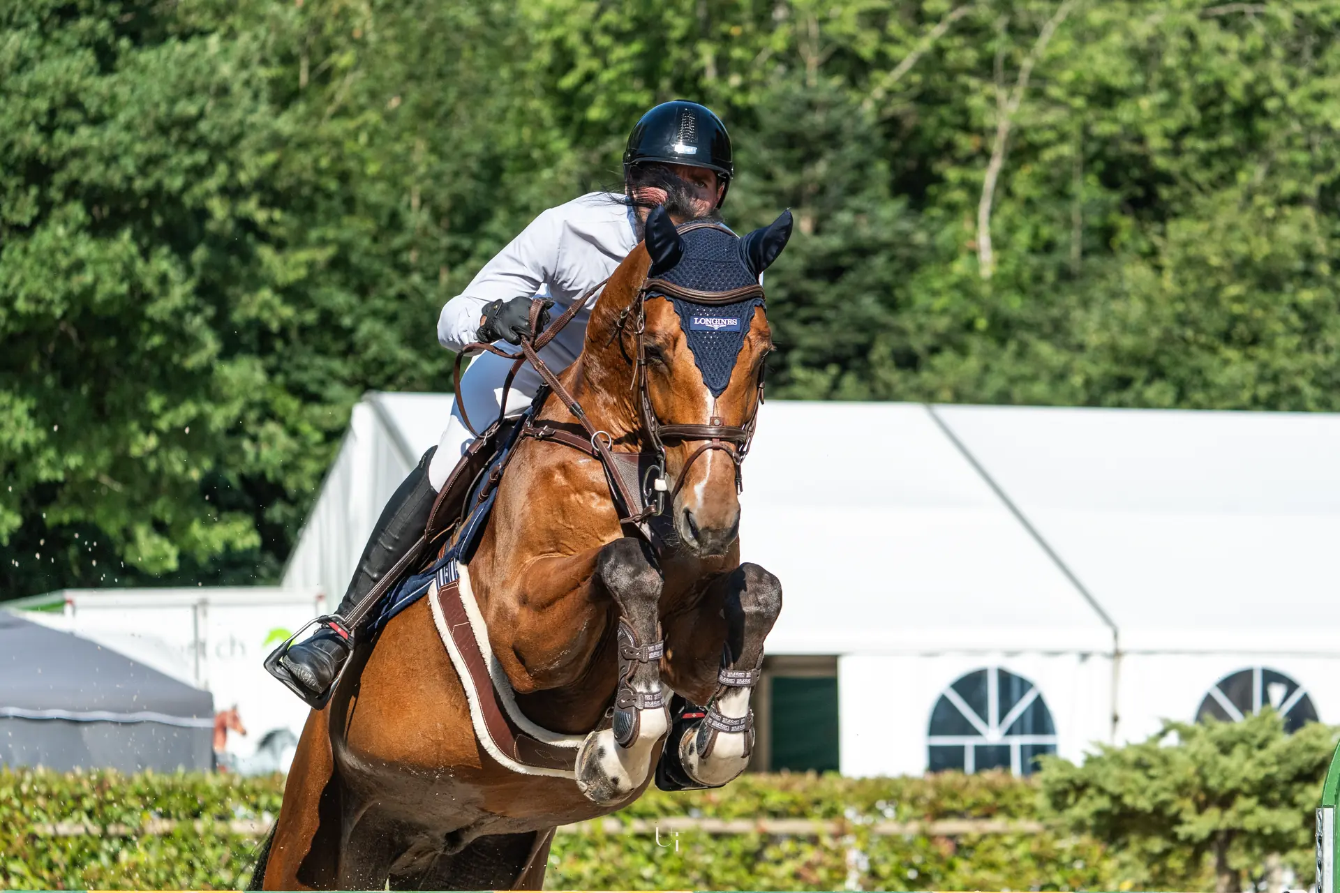 A chestnut show jumper mid-air over a fence, the hospitality tents behind